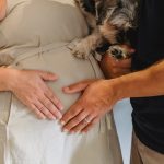 Schwangerschaft und Hund